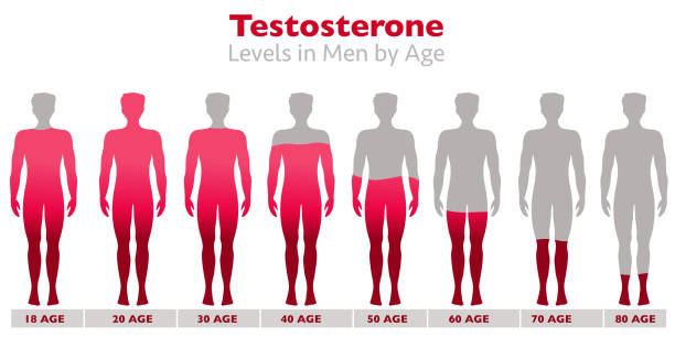 How To Find A High Quality Testosterone Booster